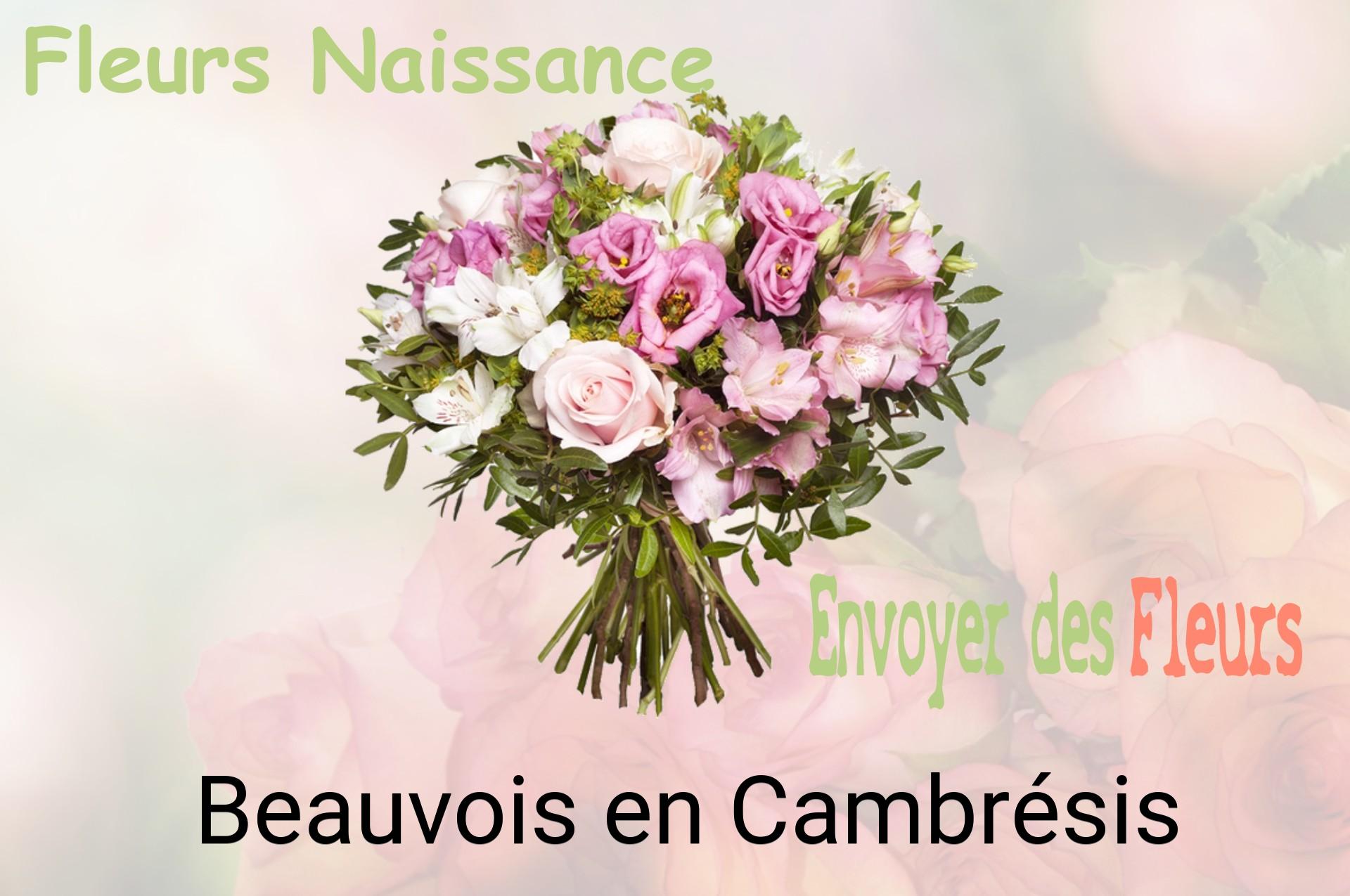 Bouquet de fleurs de naissance livré à Beauvois-en-Cambrésis